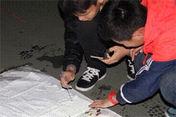 点击这里用新窗口浏览图片